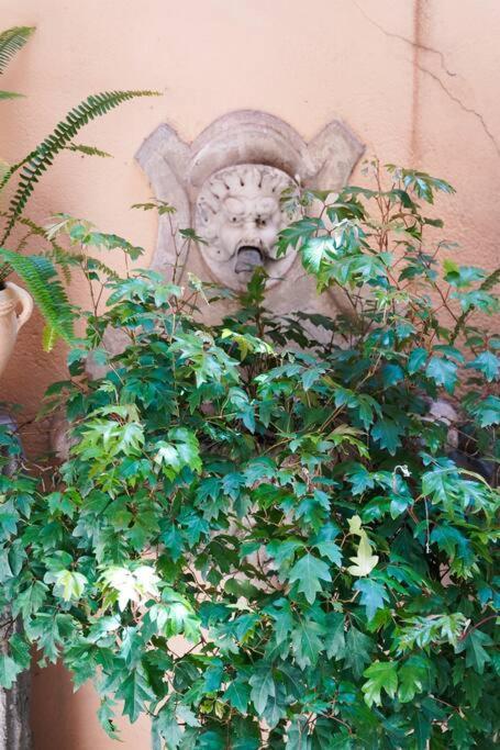 Apartamento Babuino Terrace Roma Exterior foto
